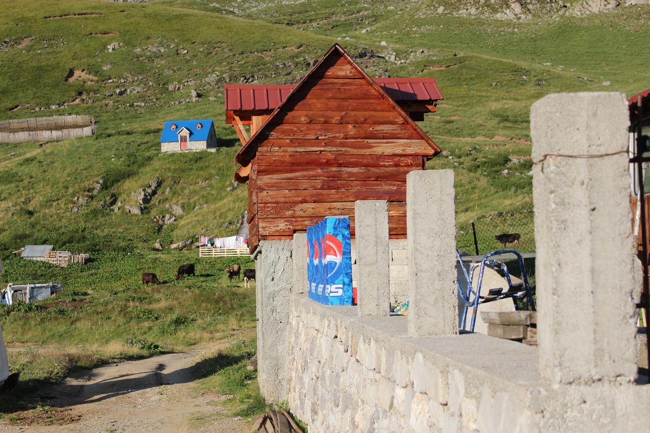 A Pousada Rural Household Minic - Kapetanovo Jezero Kolašin Exterior foto